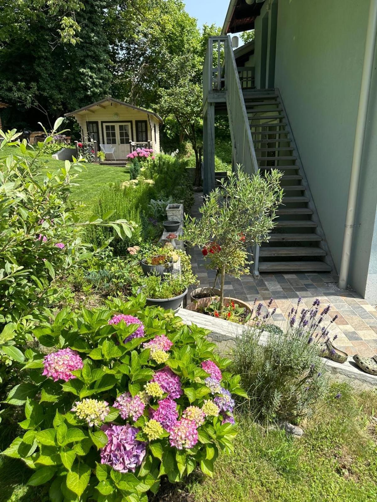 Apartmán Lizmari Podčetrtek Exteriér fotografie